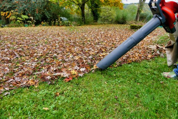 Leaf Vacuuming Service in Mechanicsburg