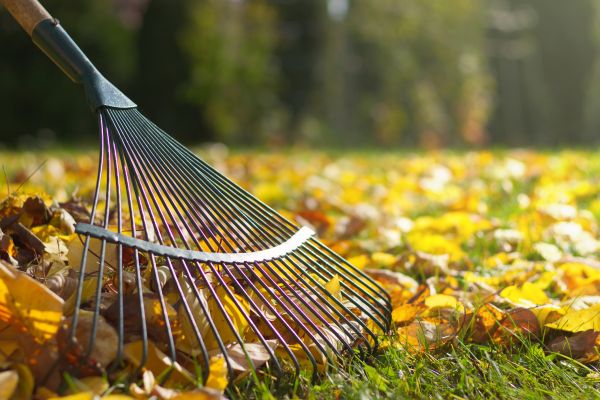 Leaf Raking Service in Mechanicsburg
