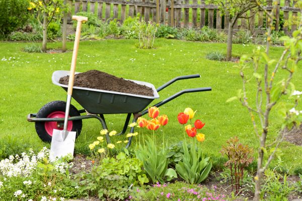 Spring Yard Cleanup in Mechanicsburg