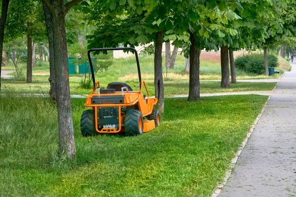 Landscaping Cleanup Service in Mechanicsburg