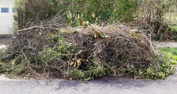 Tree Limb Cleanup in Mechanicsburg