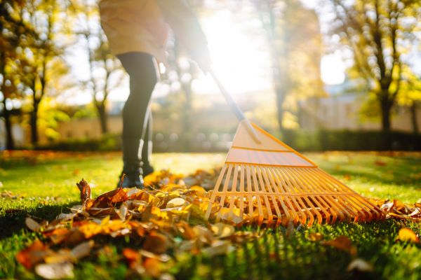 Leaves Raking in Mechanicsburg