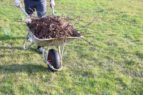 Yard Brush Removal in Mechanicsburg