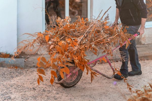 Lawn Debris Cleanup in Mechanicsburg