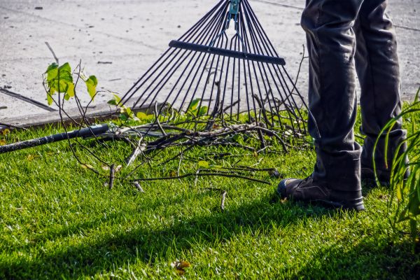 Yard Debris Cleanup in Mechanicsburg