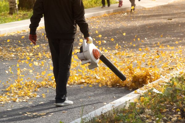 Commercial Leaf Removal in Mechanicsburg