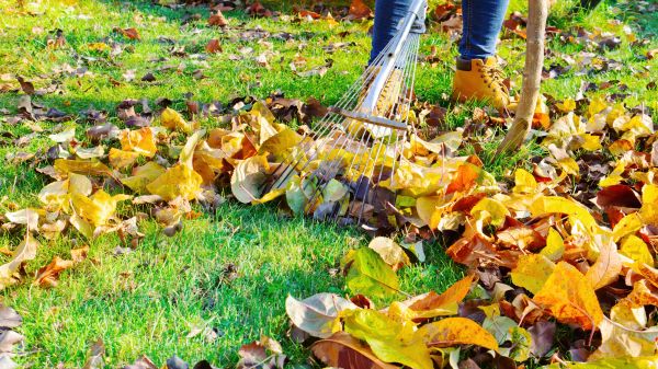 Lawn Cleanup Service in Mechanicsburg